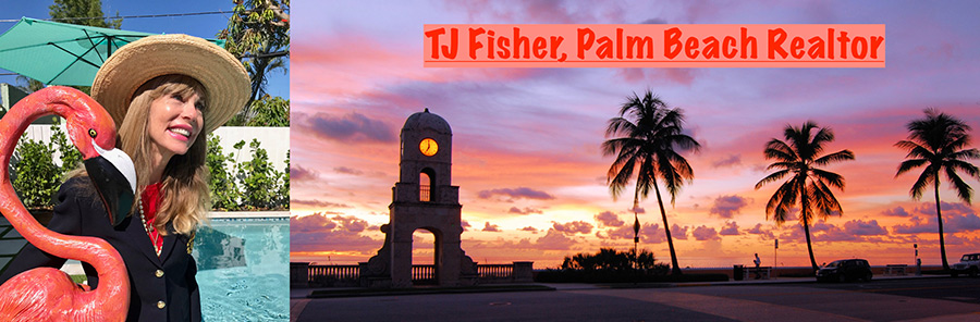 TJWebsiteBanner